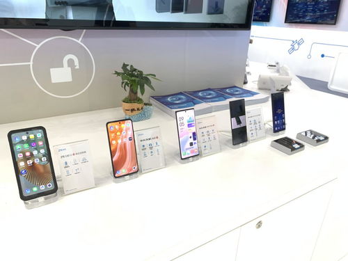 中兴通讯携创新终端亮相世界5G大会 共建“数智热带雨林”，互动教学终端引领教育变革